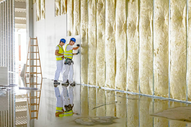 Best Residential Insulation in Clinton, MS